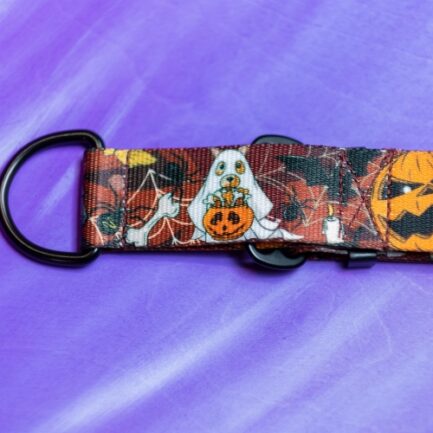 OBROŻA PÓŁZACISKOWA “DYNIA ZŁA”