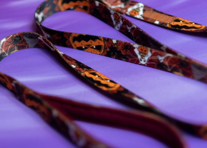 SMYCZ MIEJSKA "DYNIA ZŁA" - obrazek 2