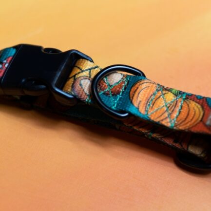 OBROŻA Z KLAMRĄ “DOKĄD TUPTA JEŻ”