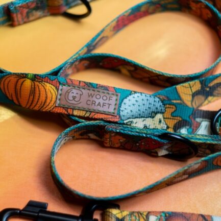 SMYCZ PRZEPINANA “DOKĄD TUPTA JEŻ”