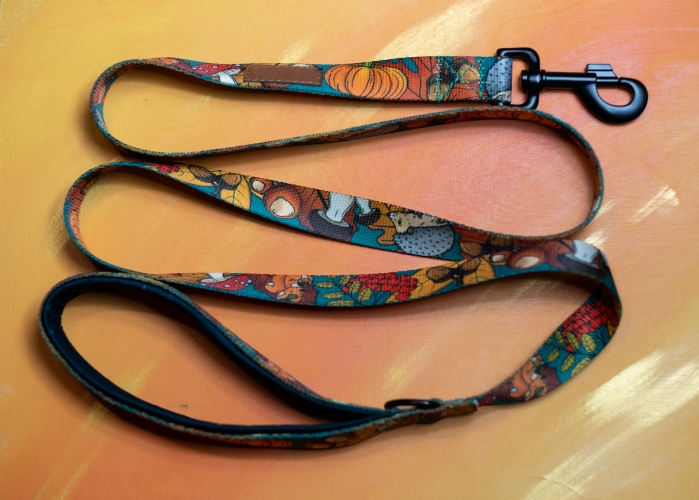 Smycz miejska dokąd tupta jeż