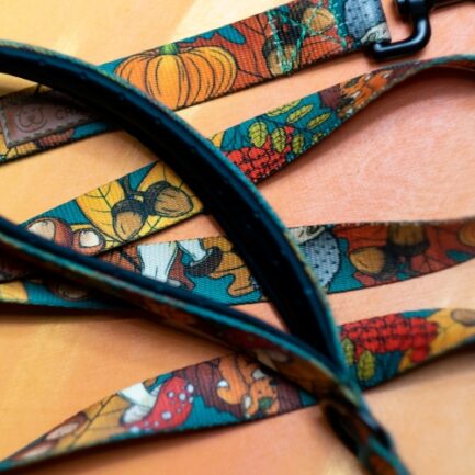 SMYCZ MIEJSKA “DOKĄD TUPTA JEŻ”