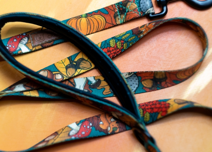 SMYCZ MIEJSKA "DOKĄD TUPTA JEŻ" - obrazek 2