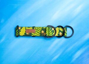 Zdjęcie przedstawia obrożę dla psa na niebieskim tle. Jest to model półzaciskowy. Obroża jest w kolorze zielonym i wzorze przedstawiającym leśną roślinność.