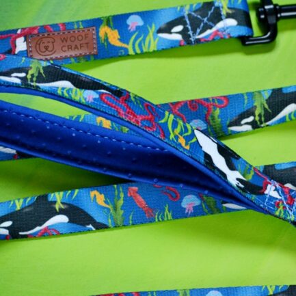 SMYCZ MIEJSKA “MORSKIE PANDY”