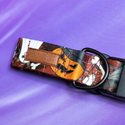 OBROŻA Z KLAMRĄ “DYNIA ZŁA”