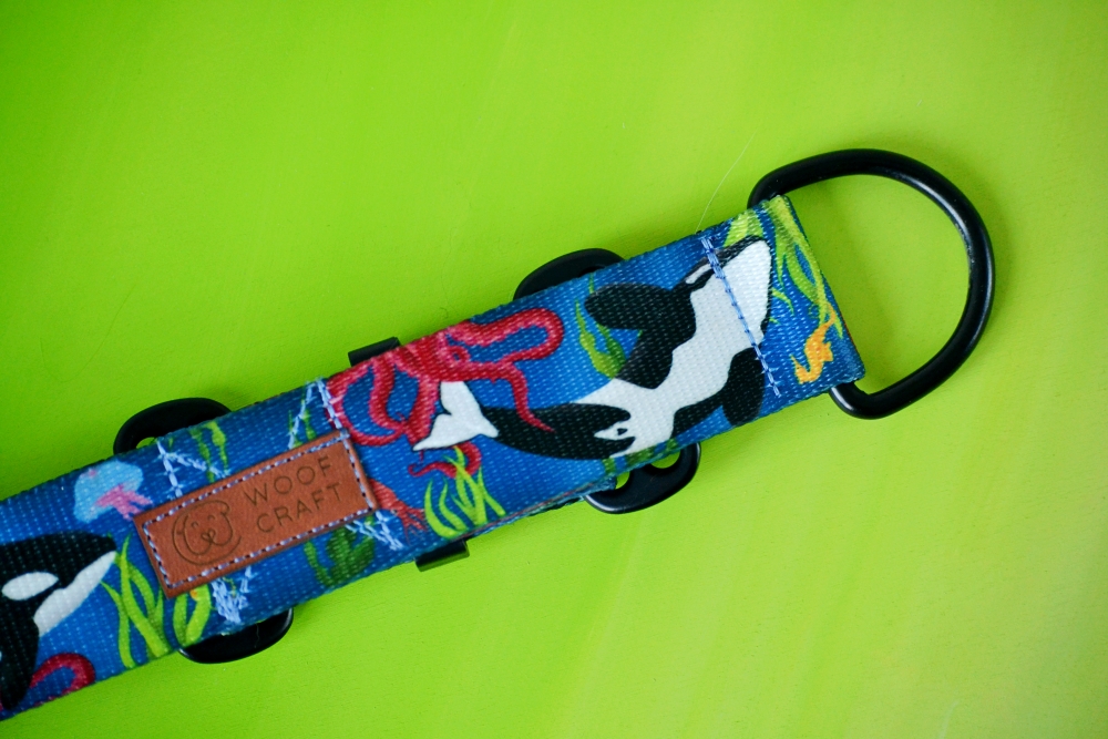 Obroża półzaciskowa typ charci Morskie Pandy