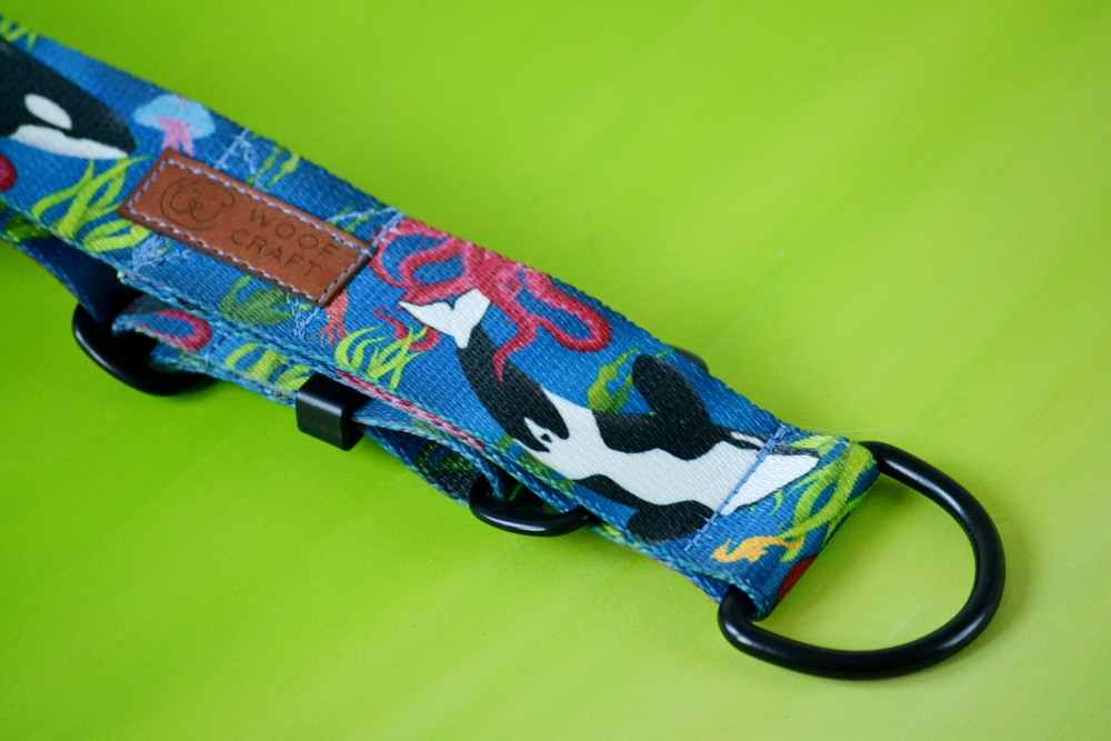 Obroża półzaciskowa typ charci Morskie Pandy