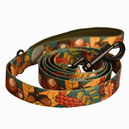 SMYCZ MIEJSKA “DOKĄD TUPTA JEŻ”