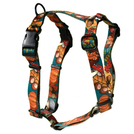 SZELKI GUARD “DOKĄD TUPTA JEŻ”