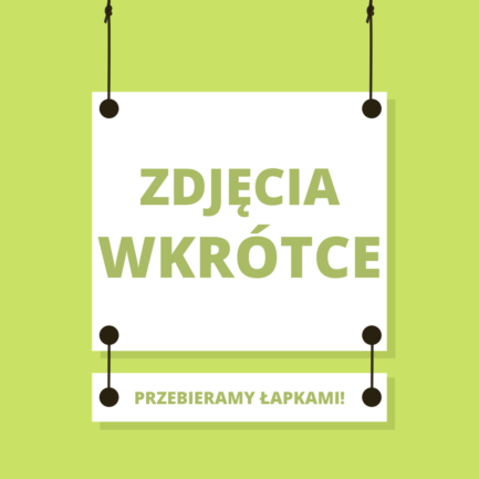 OBROŻA MARTINGALE “LEŚNE OPOWIEŚCI”