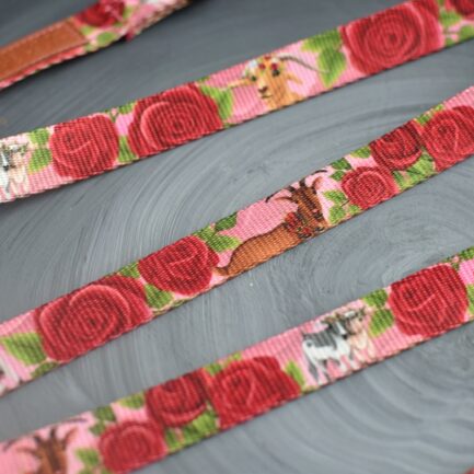 SMYCZ MIEJSKA “KOZIA ŁĄCZKA”