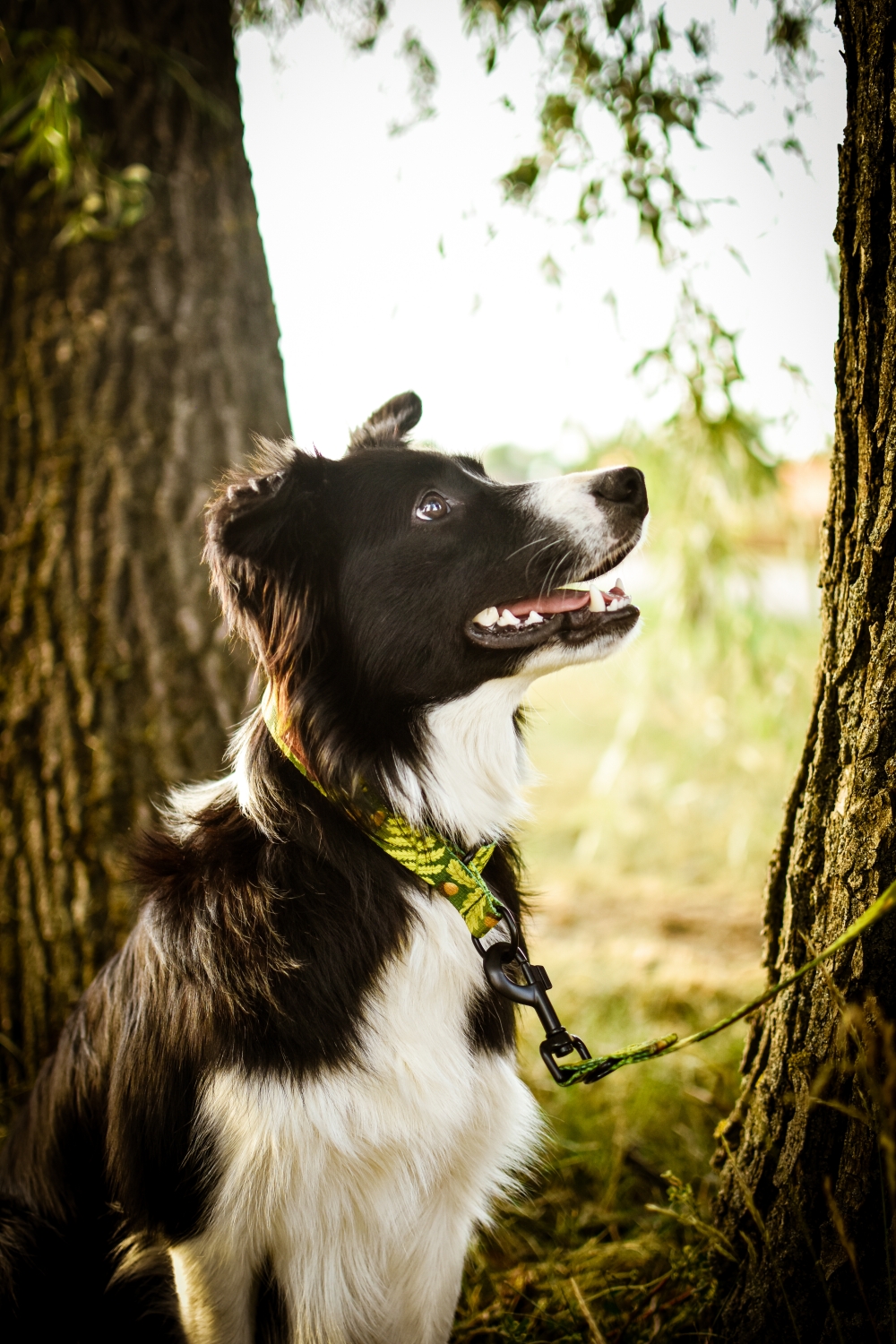 SMYCZ PRZEPINANA "LEŚNE OPOWIEŚCI 2.0" - obrazek 2