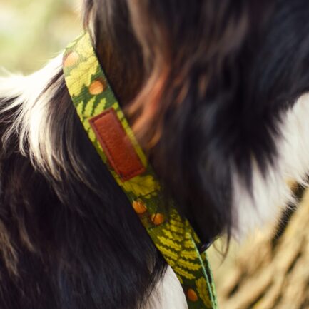 OBROŻA PÓŁZACISKOWA “LEŚNE OPOWIEŚCI”