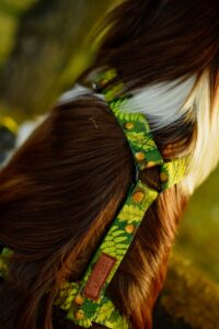 Zdjęcie przedstawia psa rasy border collie o umaszczeniu red tricolor. Widoczny jest grzbiet psa, który ubrany jest w zielone szelki guard. Taśma, z której są uszyte, ma zielony kolor i wzór z motywem leśnej roślinności i żołędzi.