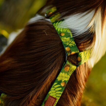 SZELKI GUARD “LEŚNE OPOWIEŚCI 2.0”