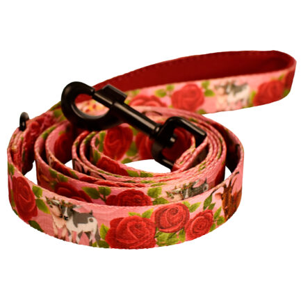 SMYCZ MIEJSKA “KOZIA ŁĄCZKA”