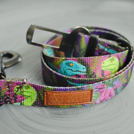 PAS SAMOCHODOWY “TAJEMNICE WYSPY NUBLAR”