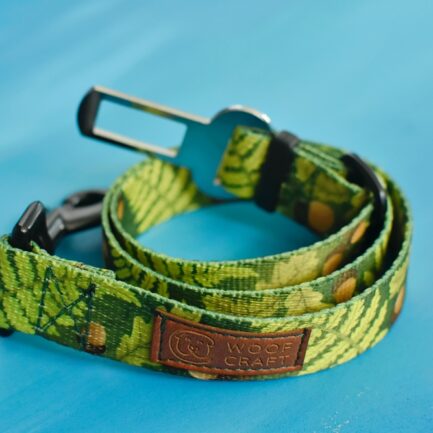 PAS SAMOCHODOWY “LEŚNE OPOWIEŚCI”