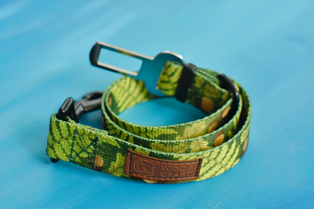 PAS SAMOCHODOWY "LEŚNE OPOWIEŚCI" - obrazek 2