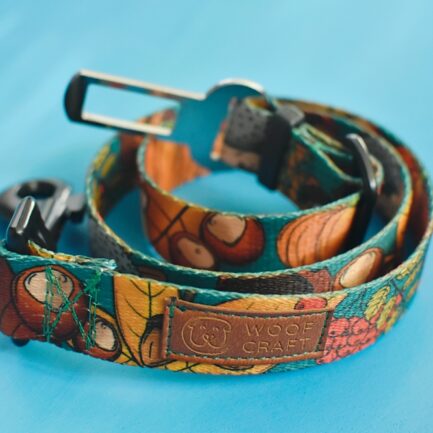 PAS SAMOCHODOWY “DOKĄD TUPTA JEŻ”