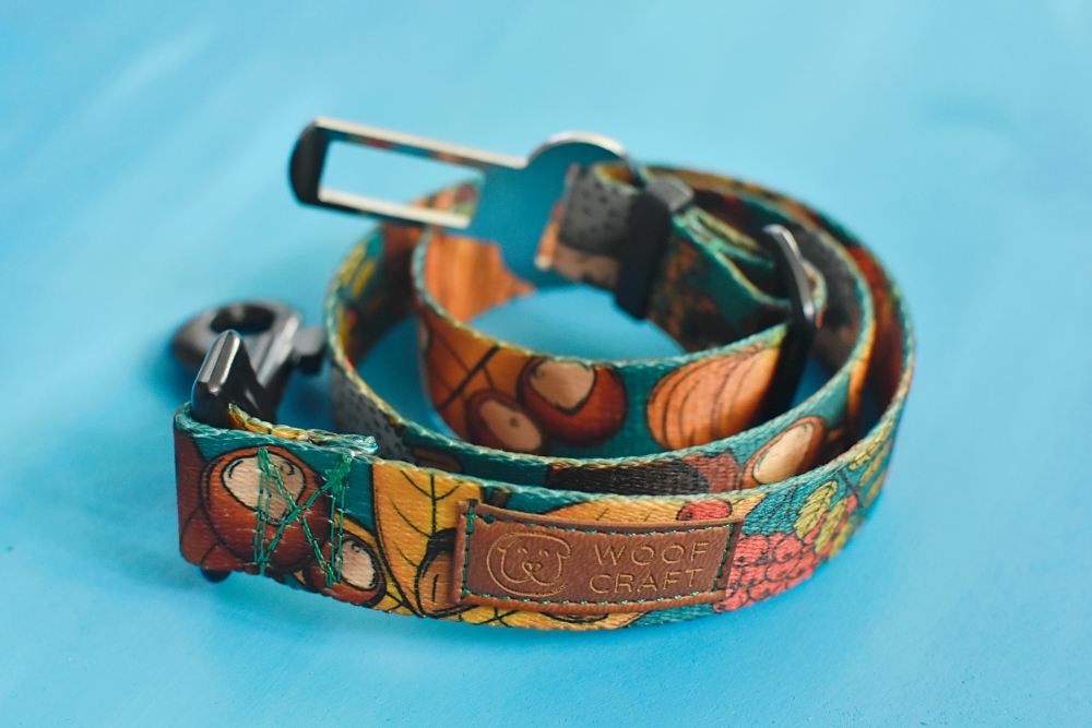 PAS SAMOCHODOWY "DOKĄD TUPTA JEŻ" - obrazek 2