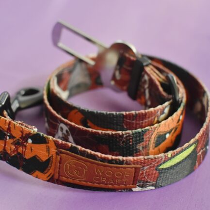 PAS SAMOCHODOWY “DYNIA ZŁA”