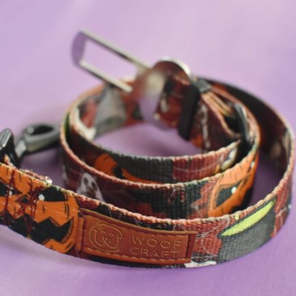 PAS SAMOCHODOWY “DYNIA ZŁA”