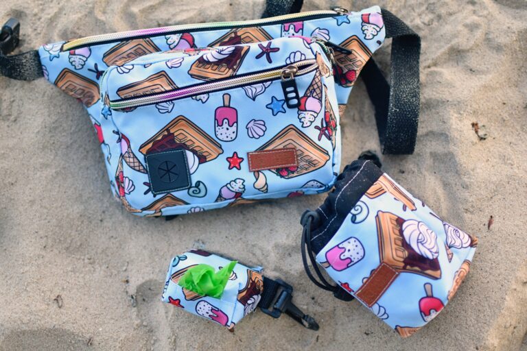 Read more about the article Co warto zabierać na spacer z psem?