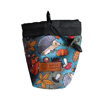 SASZETKA “DOKĄD TUPTA JEŻ”