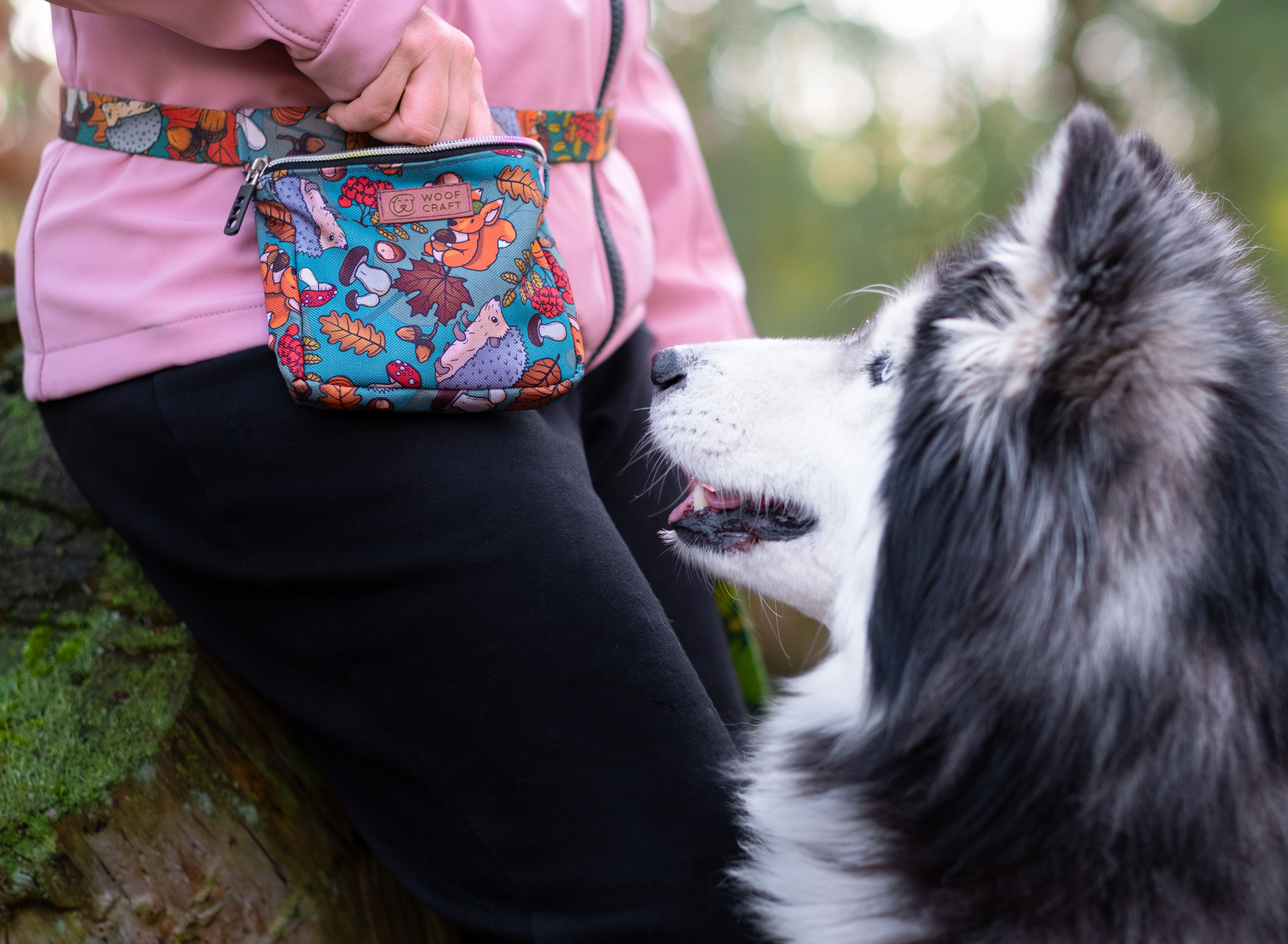 SASZETKA SPACEROWA "DOKĄD TUPTA JEŻ" - obrazek 3