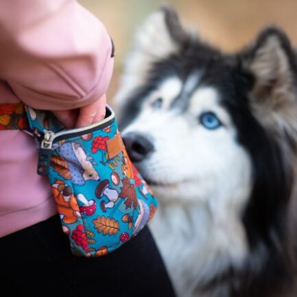 SASZETKA SPACEROWA “DOKĄD TUPTA JEŻ”