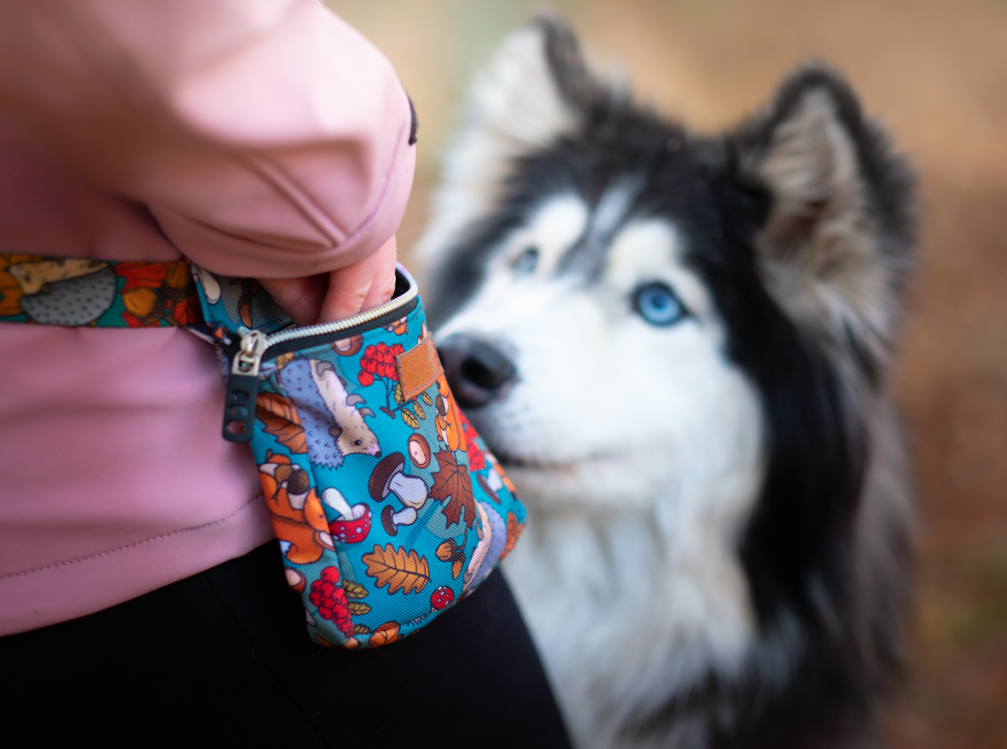 SASZETKA SPACEROWA "DOKĄD TUPTA JEŻ" - obrazek 2