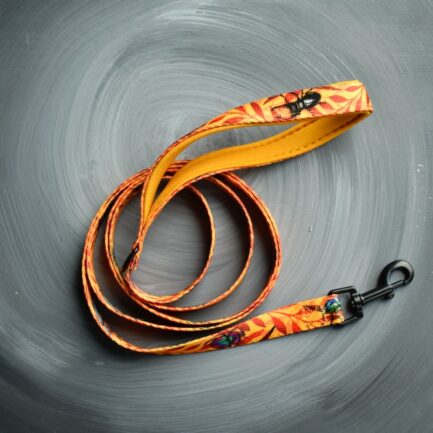 SMYCZ MIEJSKA “CHRZĄSZCZE I CHRABĄSZCZE”