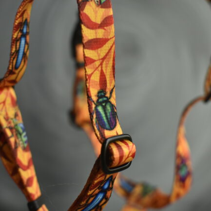 SZELKI GUARD “CHRZĄSZCZE I CHRABĄSZCZE”