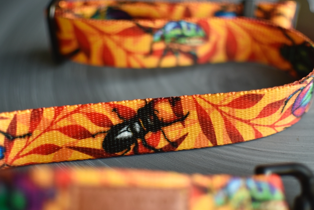 PAS SAMOCHODOWY "CHRZĄSZCZE I CHRABĄSZCZE" - obrazek 2