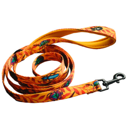 SMYCZ MIEJSKA “CHRZĄSZCZE I CHRABĄSZCZE”