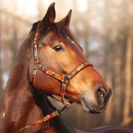 UWIĄZ TAŚMOWY “DOKĄD TUPTA JEŻ”