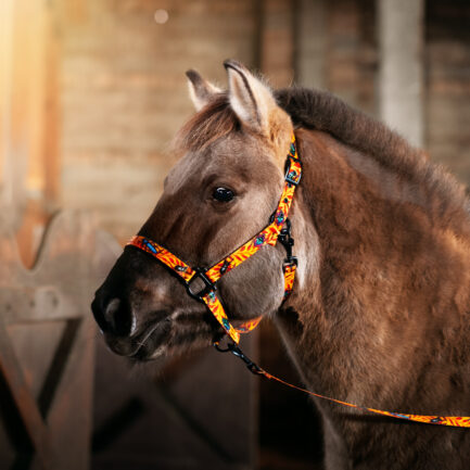 UWIĄZ TAŚMOWY “CHRZĄSZCZE I CHRABĄSZCZE”