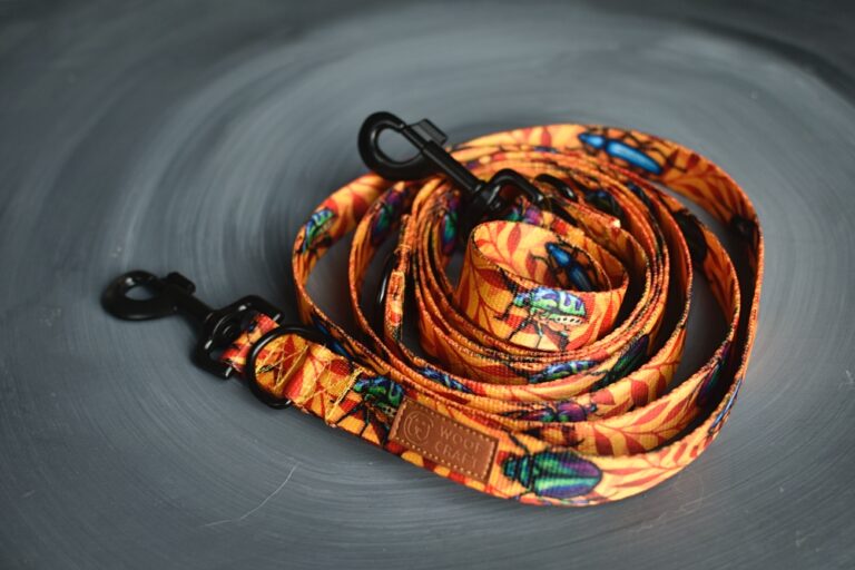 Ilustracja przedstawia przepinaną smycz dla psa w kolorze pomarańczowym. Na taśmie znajduje się wzór z podobiznami chrząszczy i chrabąszczy.