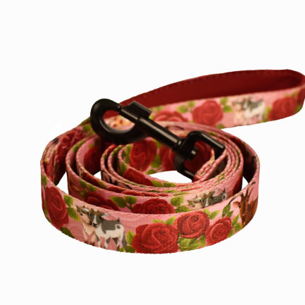 UWIĄZ TAŚMOWY “KOZIA ŁĄCZKA”