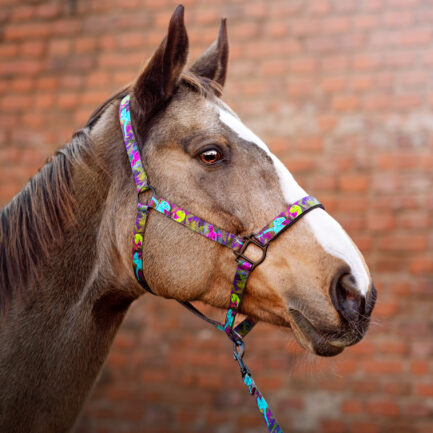 KANTAR “TAJEMNICE WYSPY NUBLAR”