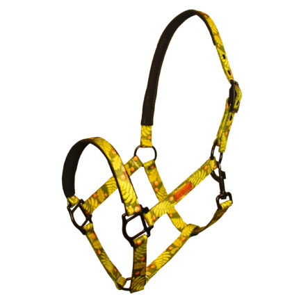 KANTAR “LEŚNE OPOWIEŚCI”