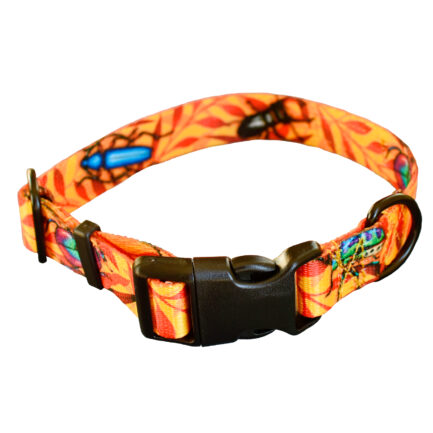 OBROŻA Z KLAMRĄ “CHRZĄSZCZE I CHRABĄSZCZE”