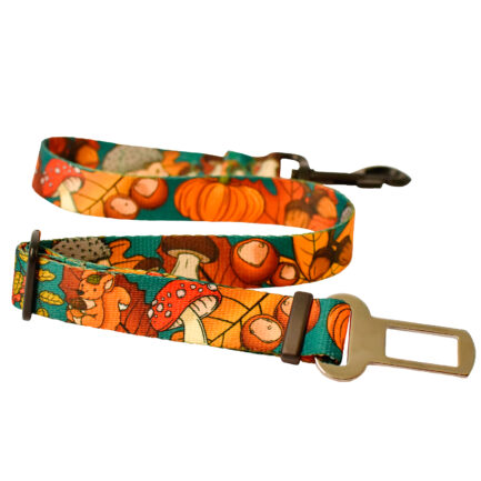 PAS SAMOCHODOWY “DOKĄD TUPTA JEŻ”