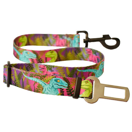 PAS SAMOCHODOWY “TAJEMNICE WYSPY NUBLAR”