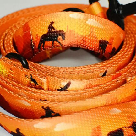 SMYCZ MIEJSKA “DZIKI ZACHÓD”