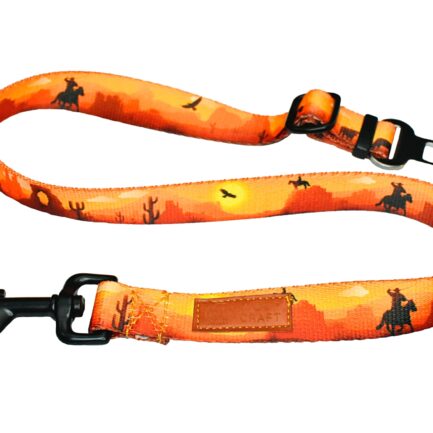 PAS SAMOCHODOWY “DZIKI ZACHÓD”