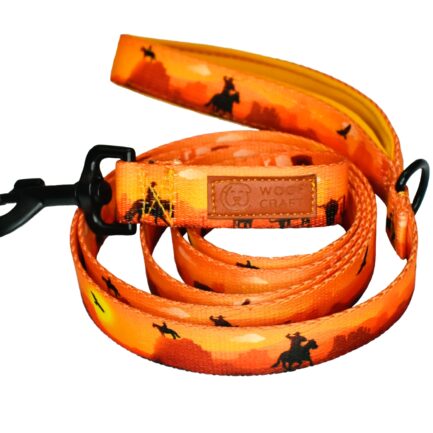 SMYCZ MIEJSKA “DZIKI ZACHÓD”