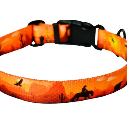 OBROŻA Z KLAMRĄ “DZIKI ZACHÓD”